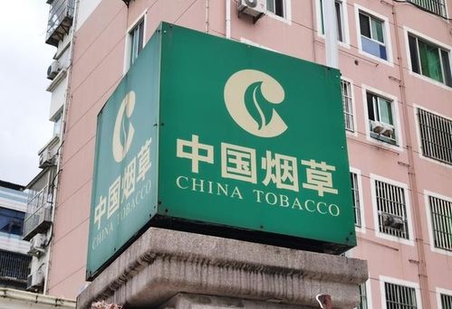 新疆煙草局校招開啟 擴招名額，高中起點，專業(yè)不限，軟件開發(fā)崗位吸引貴州學(xué)子